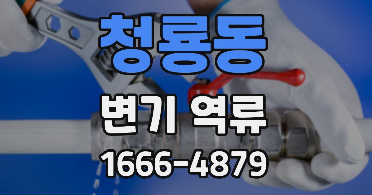 청룡동 변기 역류