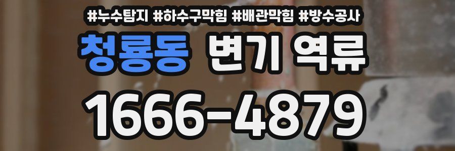 청룡동 변기 역류