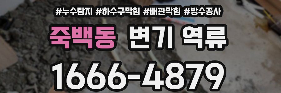 죽백동 변기 역류