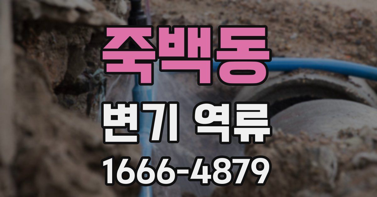 죽백동 변기 역류