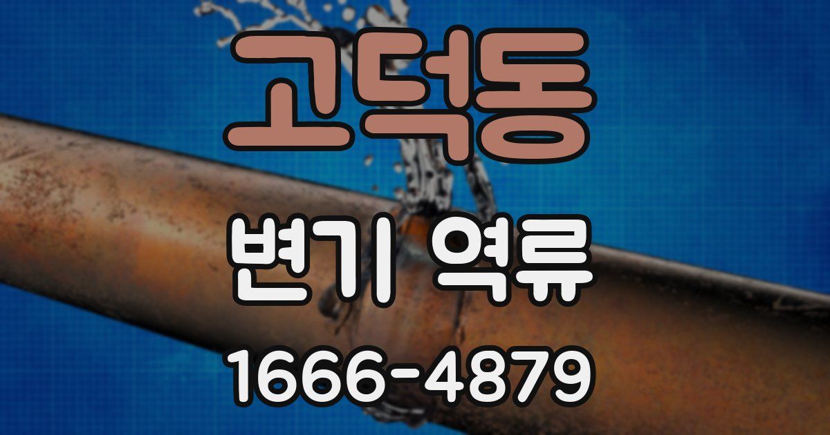 고덕동 변기 역류