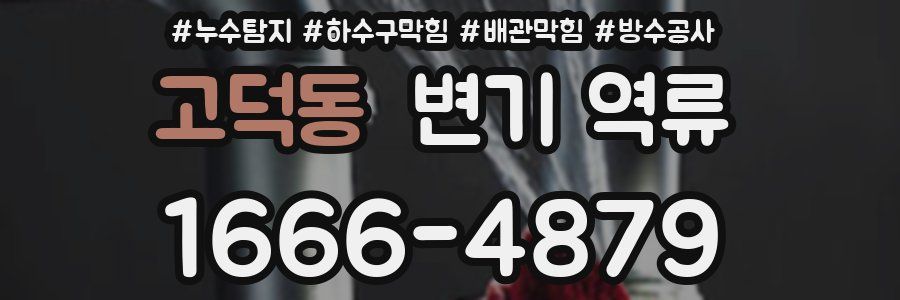 고덕동 변기 역류