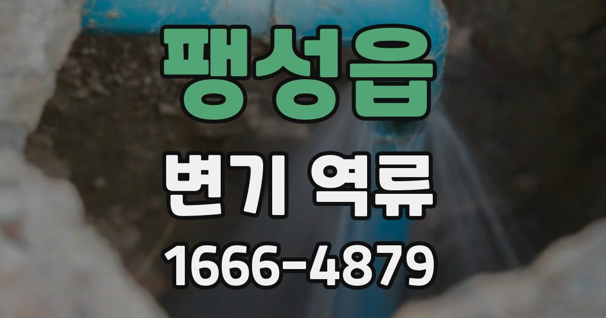 팽성읍 변기 역류
