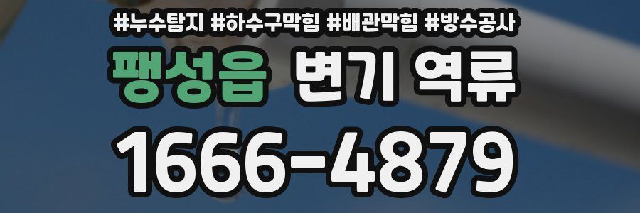 팽성읍 변기 역류