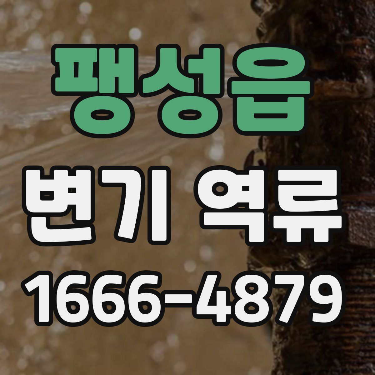 팽성읍 변기 역류