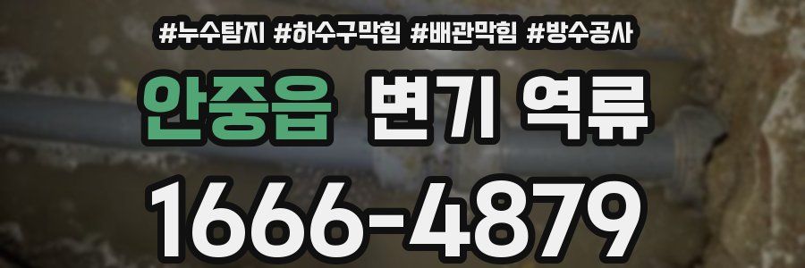 안중읍 변기 역류