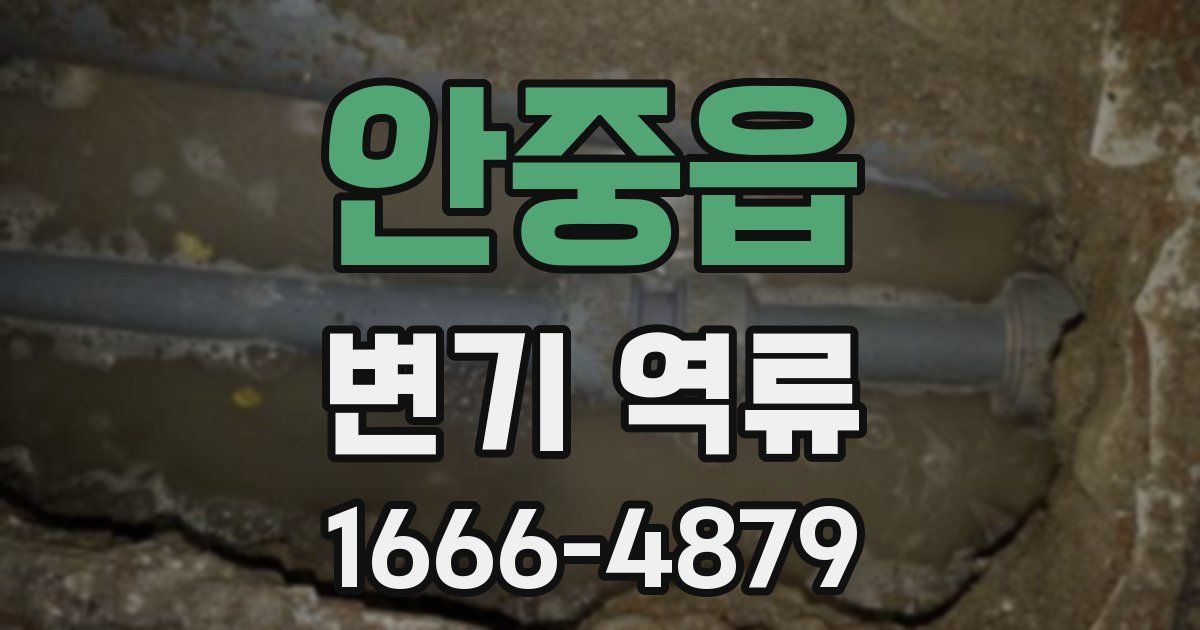 안중읍 변기 역류