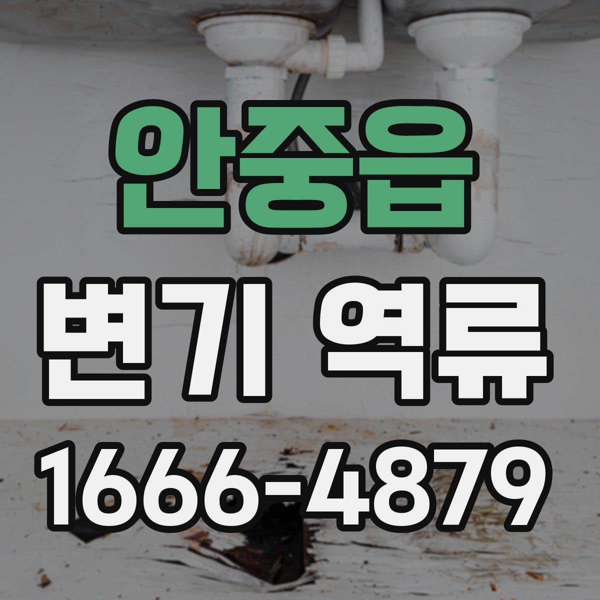 안중읍 변기 역류
