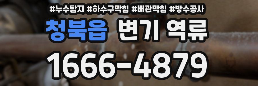 청북읍 변기 역류
