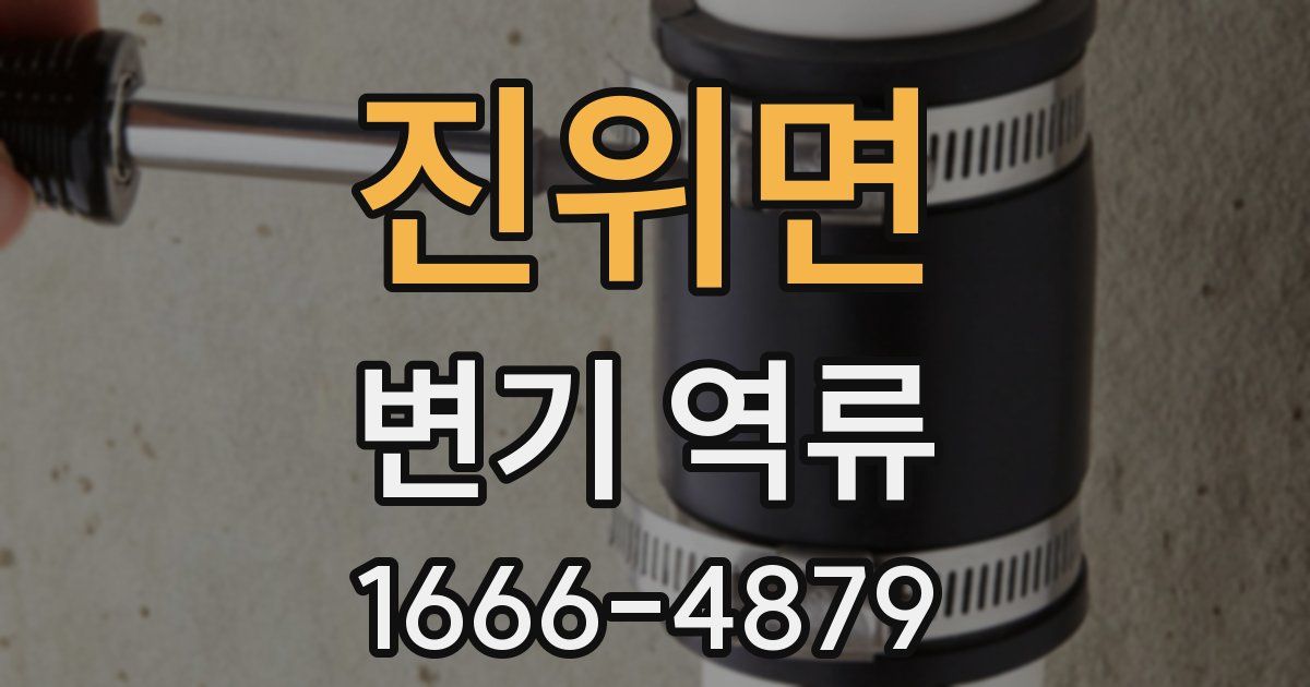 진위면 변기 역류
