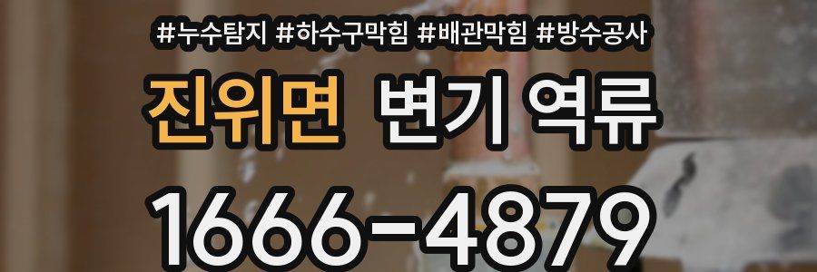 진위면 변기 역류