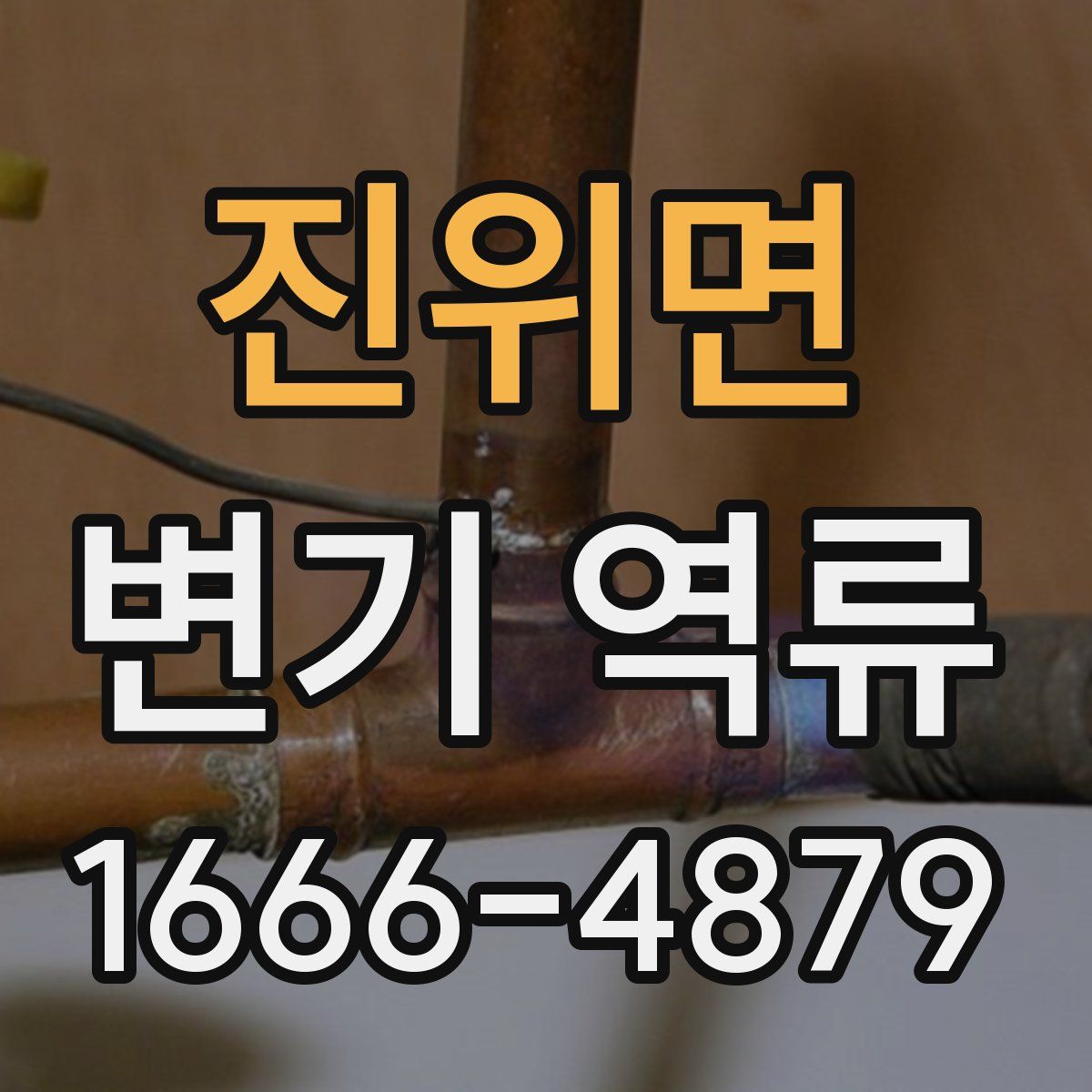 진위면 변기 역류