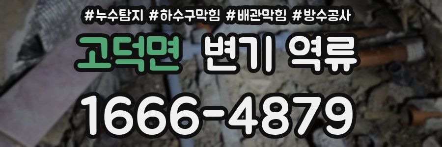 고덕면 변기 역류