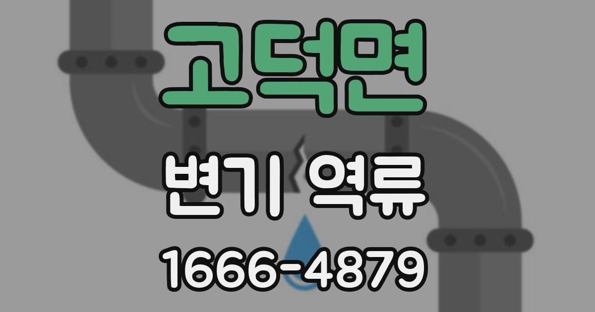 고덕면 변기 역류