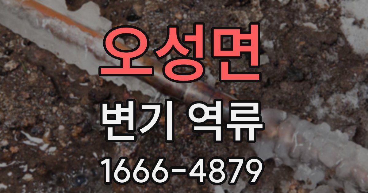 오성면 변기 역류