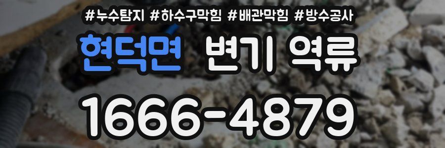 현덕면 변기 역류