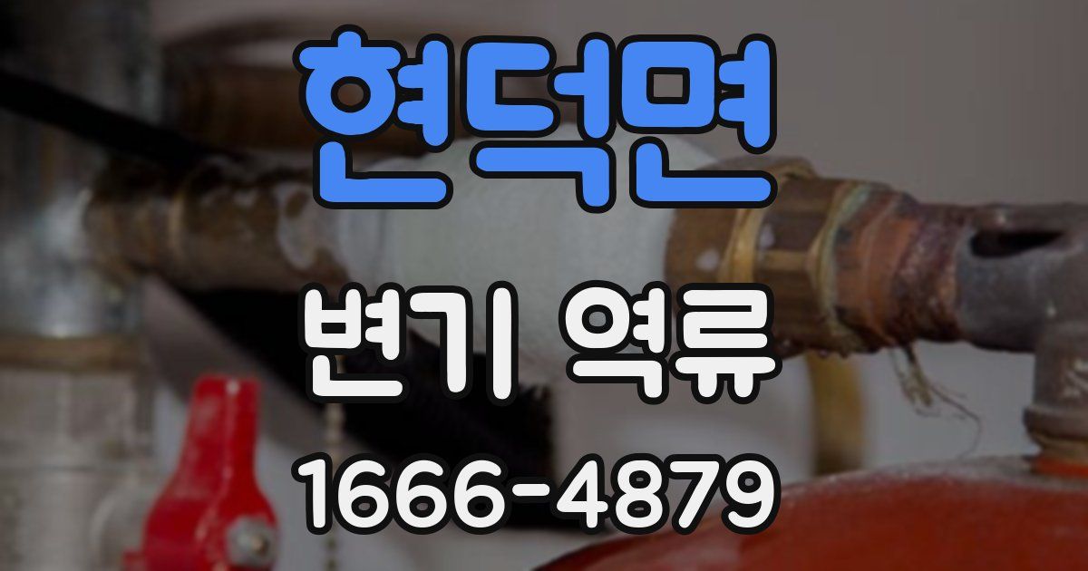 현덕면 변기 역류