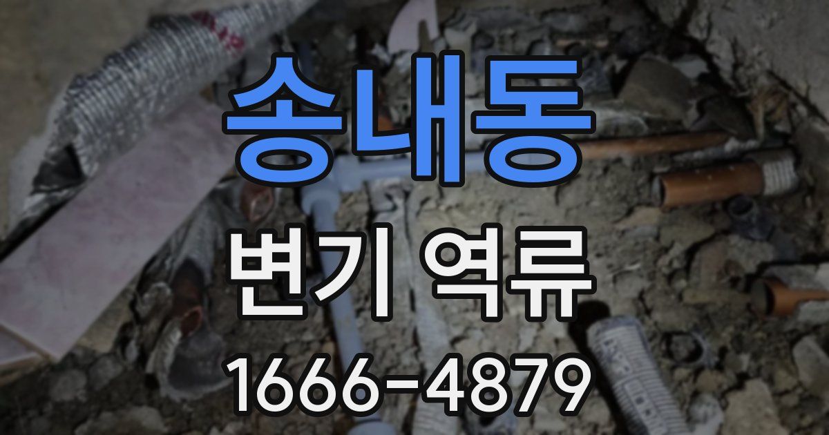 송내동 변기 역류