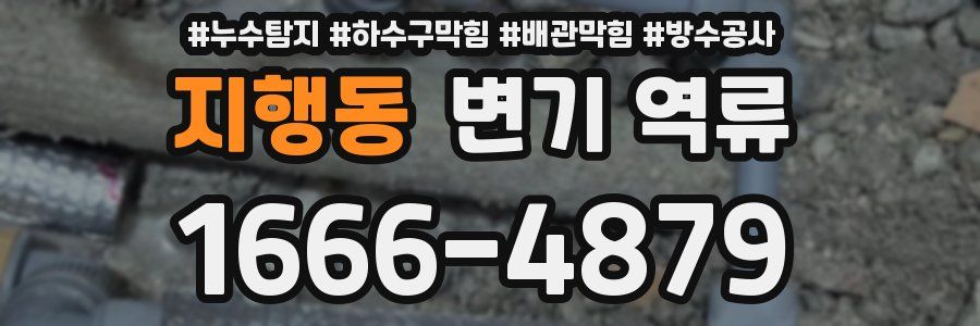 지행동 변기 역류