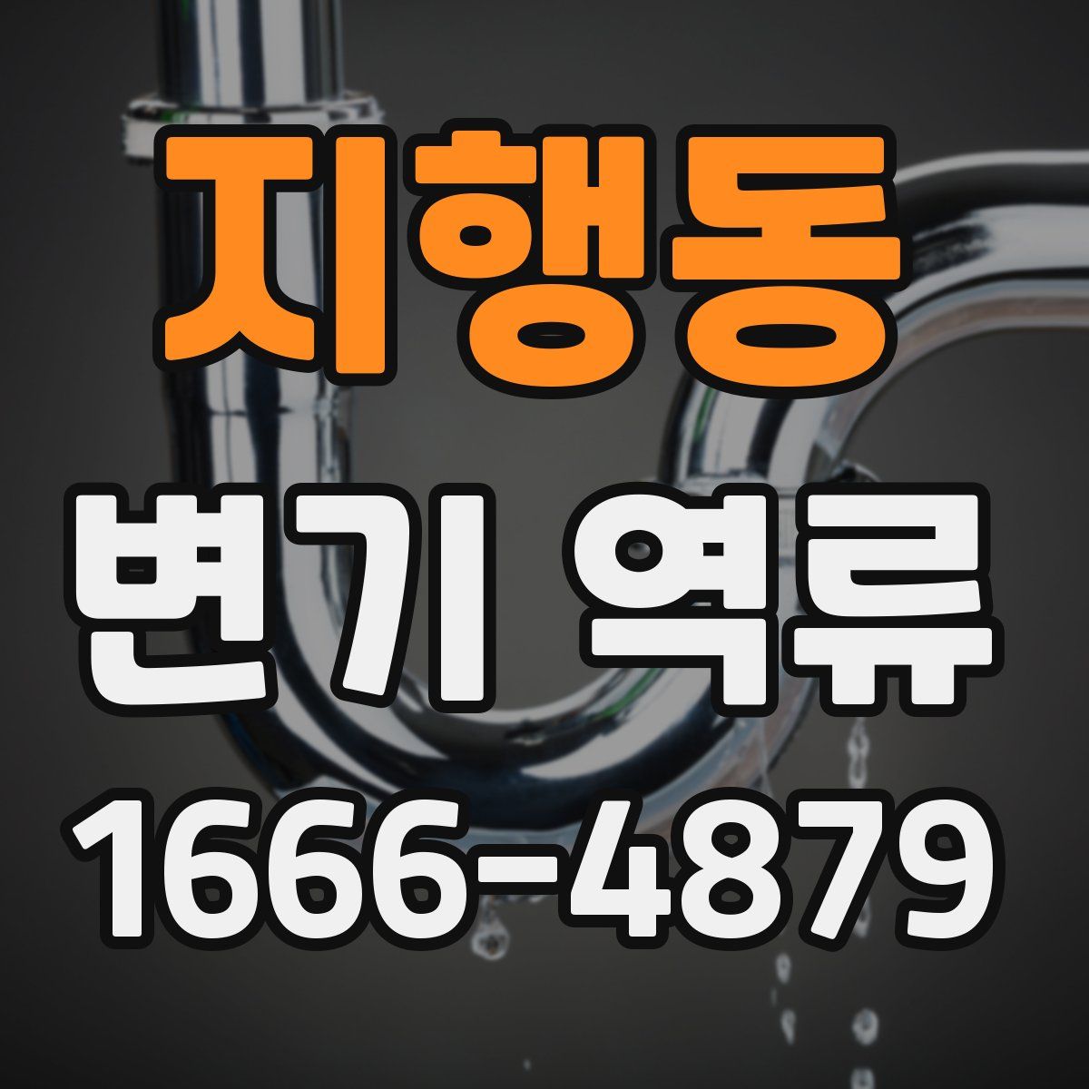 지행동 변기 역류