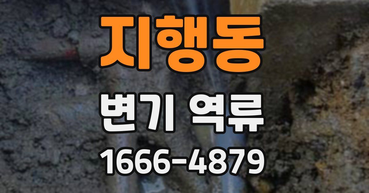 지행동 변기 역류