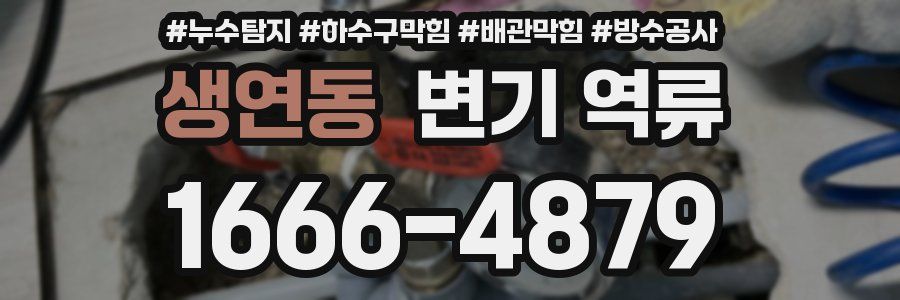 생연동 변기 역류
