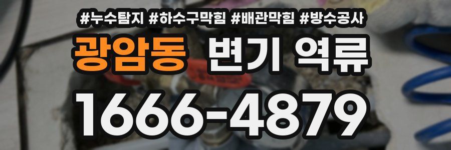 광암동 변기 역류