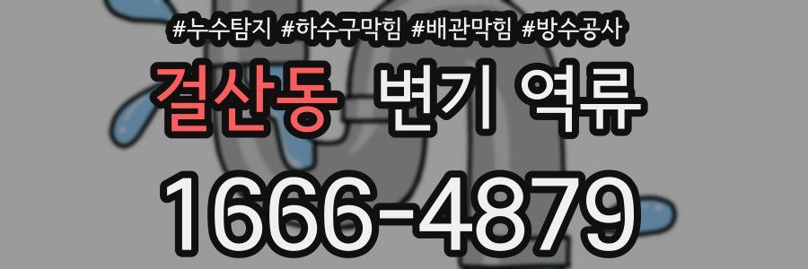 걸산동 변기 역류