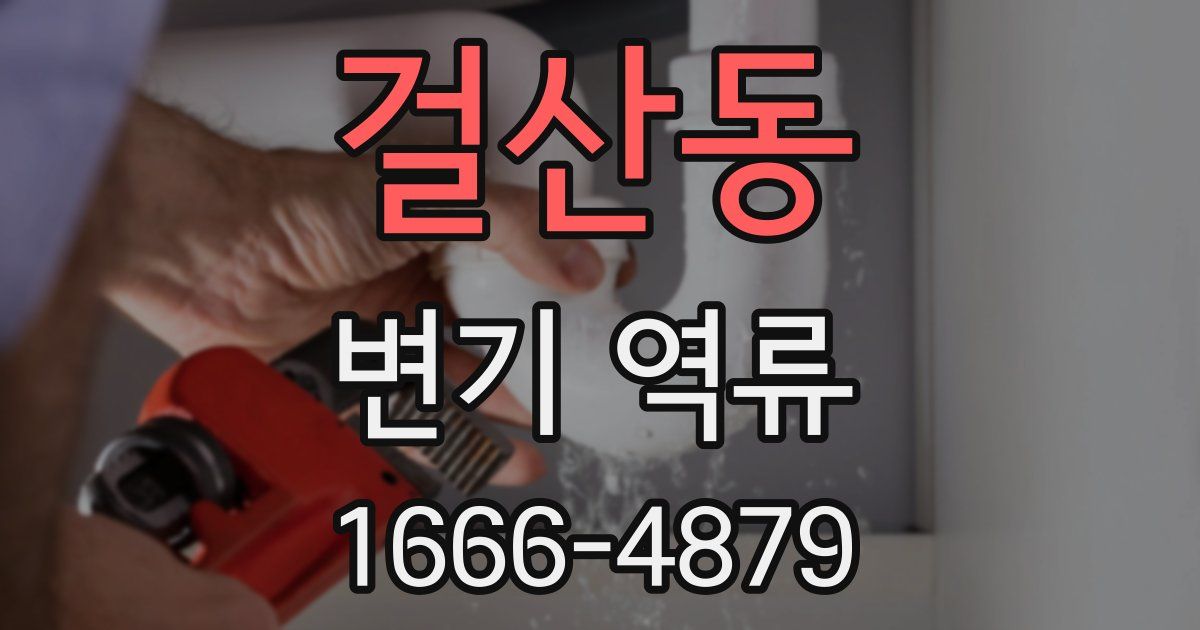 걸산동 변기 역류