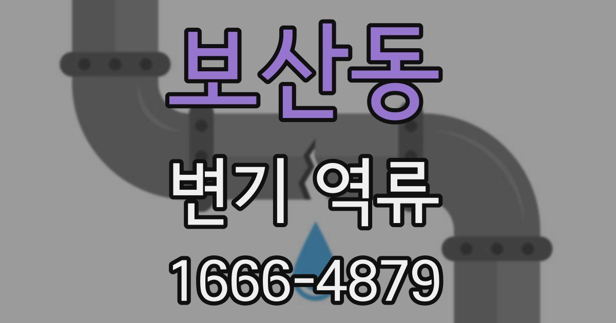보산동 변기 역류