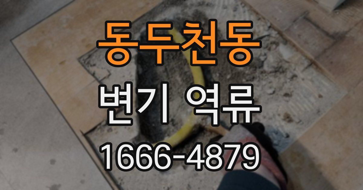 동두천동 변기 역류