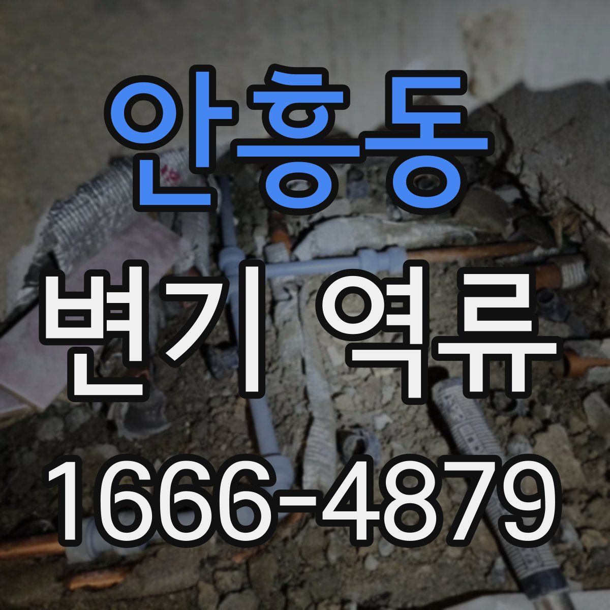 안흥동 변기 역류
