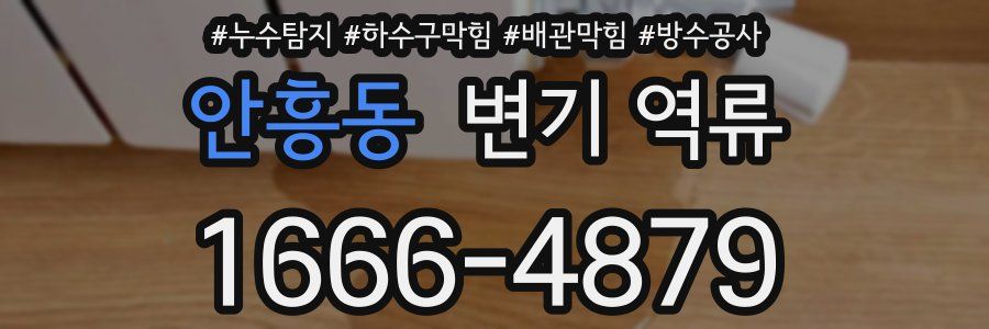안흥동 변기 역류