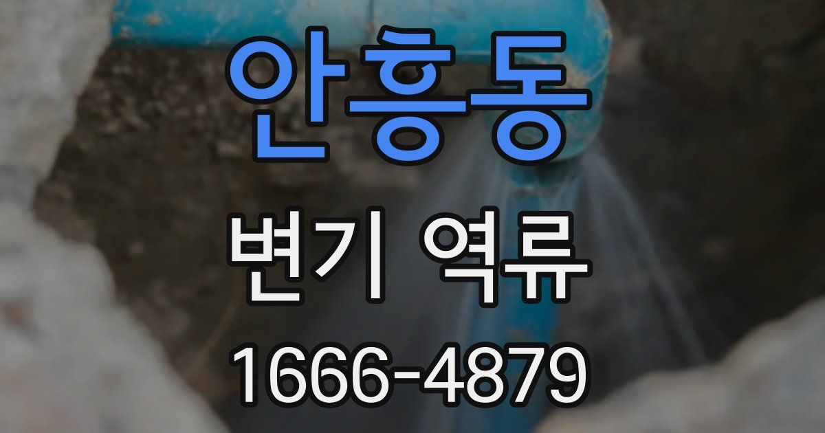 안흥동 변기 역류