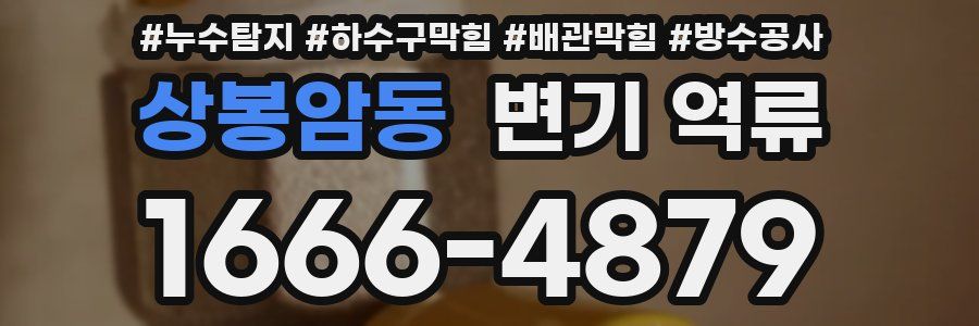 상봉암동 변기 역류