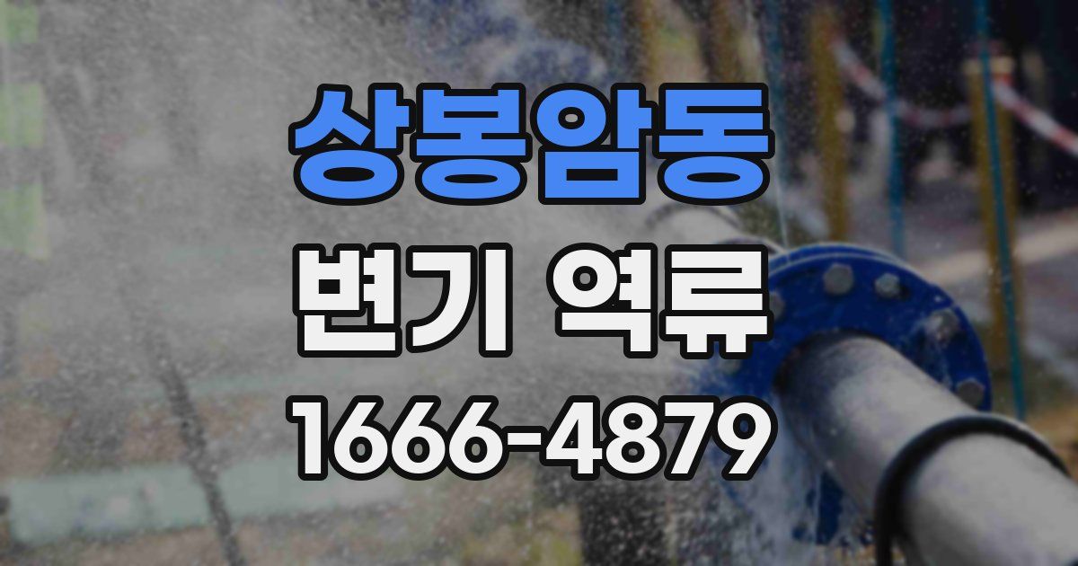 상봉암동 변기 역류