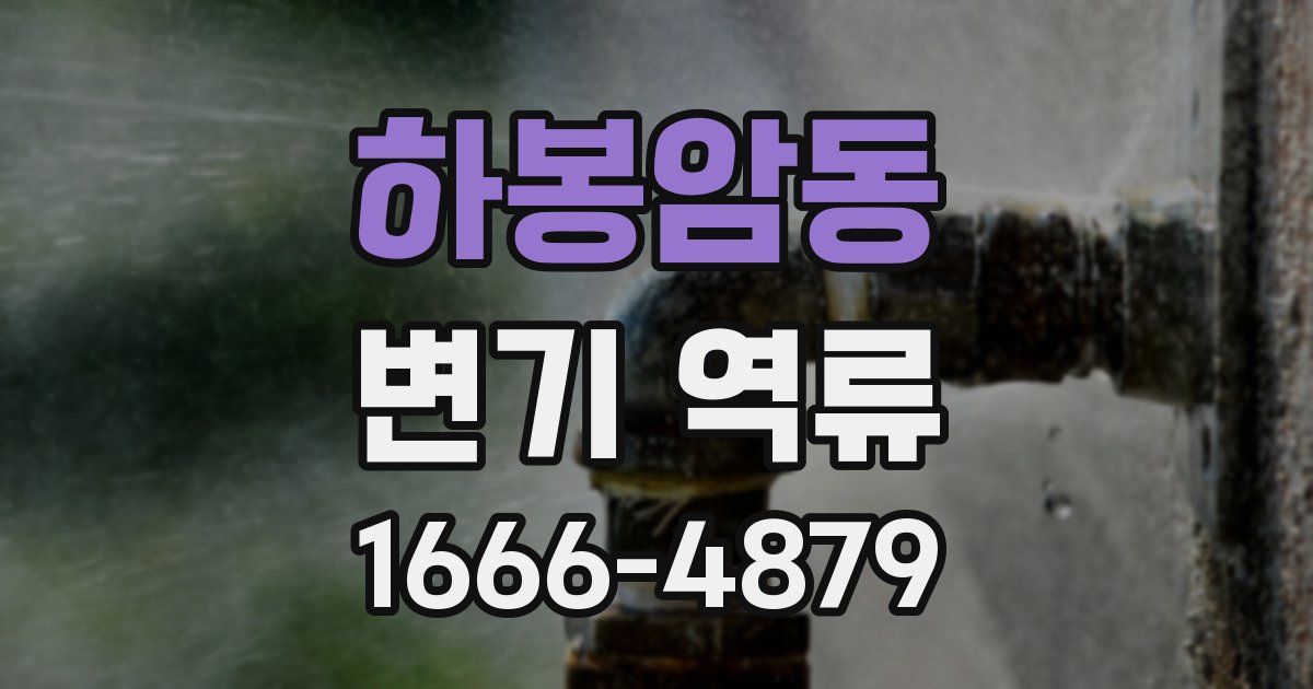 하봉암동 변기 역류