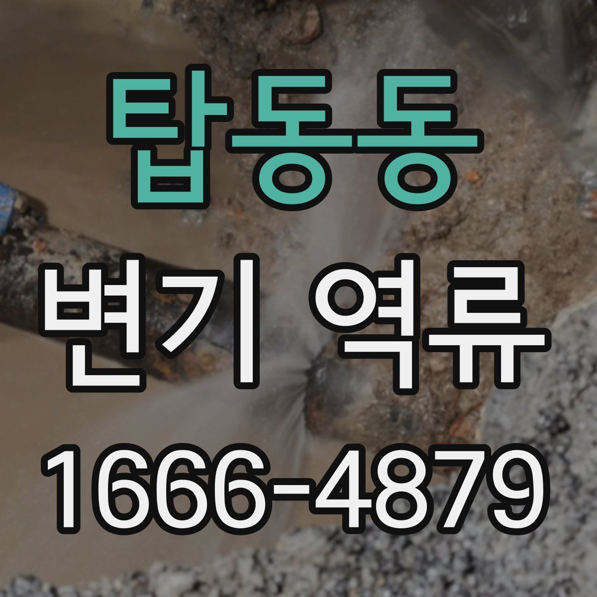 탑동동 변기 역류