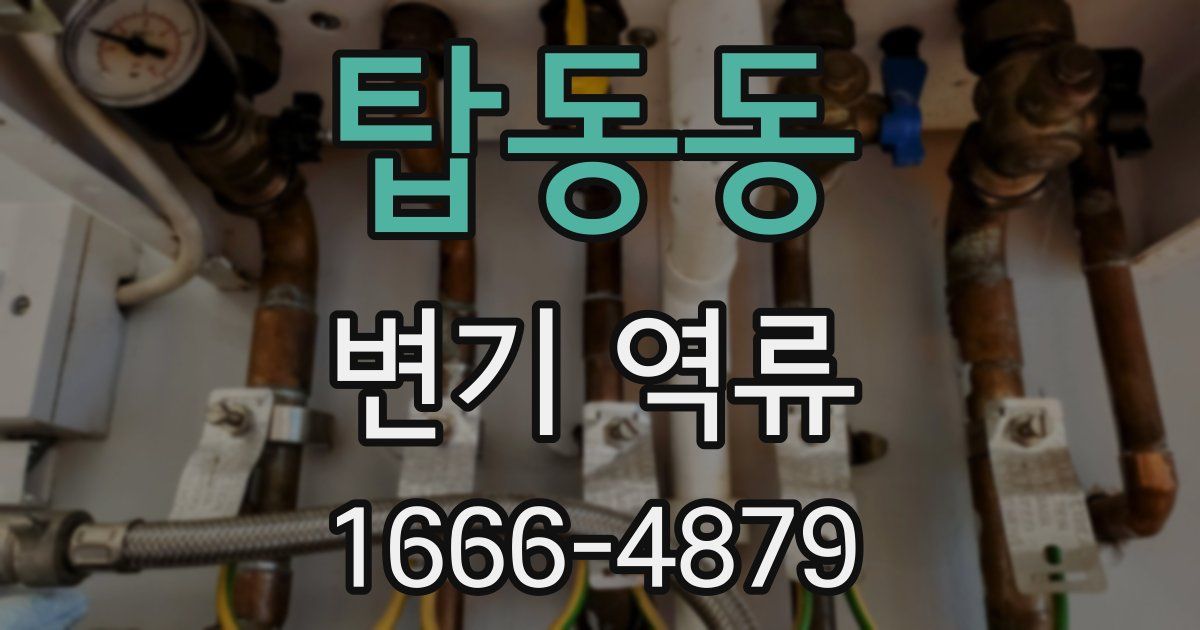 탑동동 변기 역류