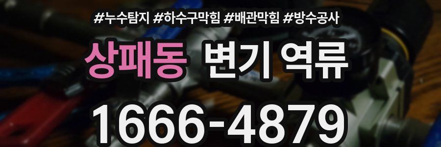 상패동 변기 역류