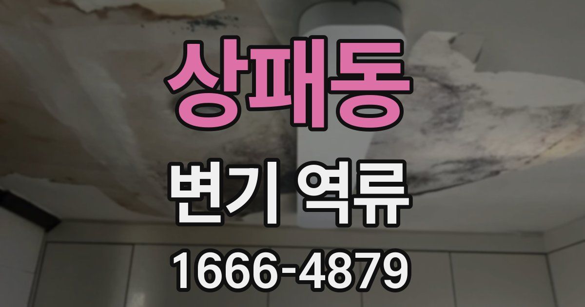 상패동 변기 역류