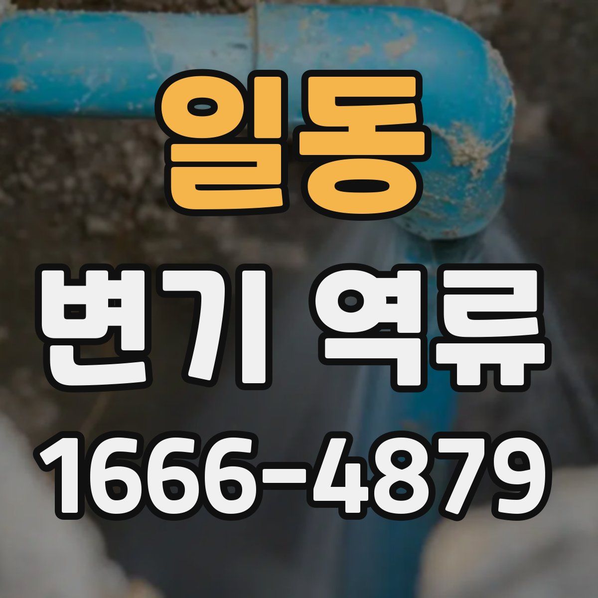 일동 변기 역류