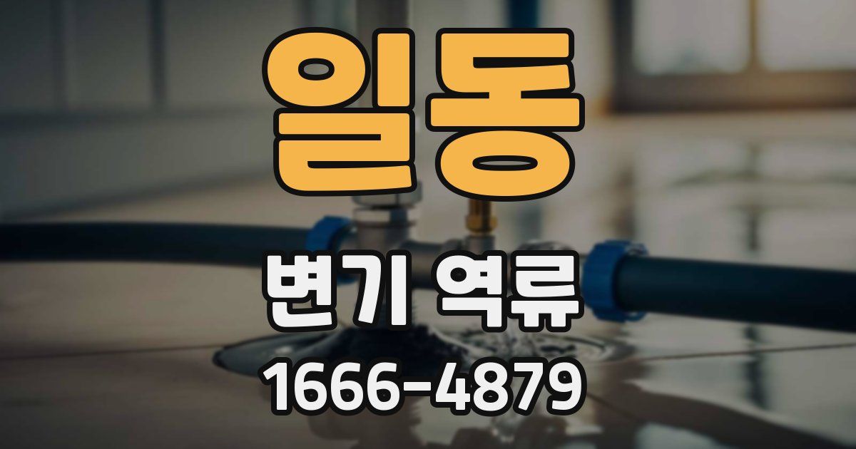 일동 변기 역류
