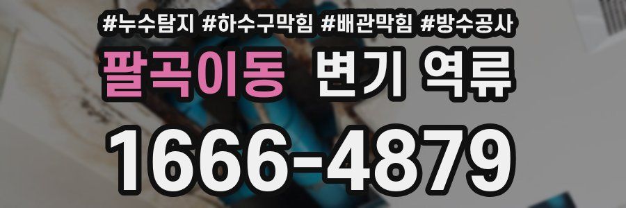 팔곡이동 변기 역류