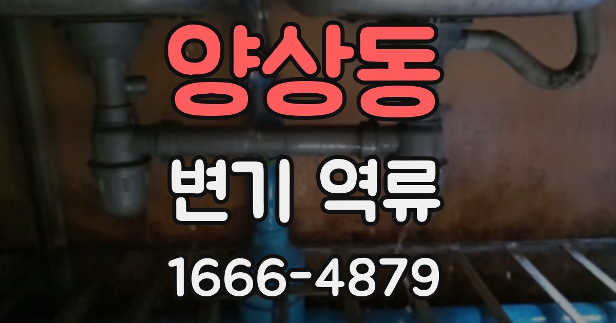 양상동 변기 역류