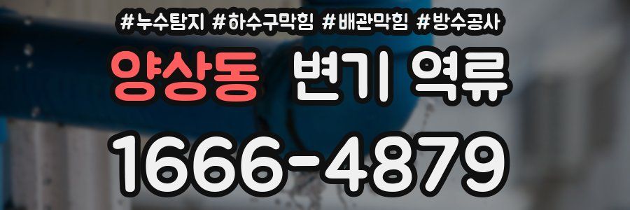 양상동 변기 역류