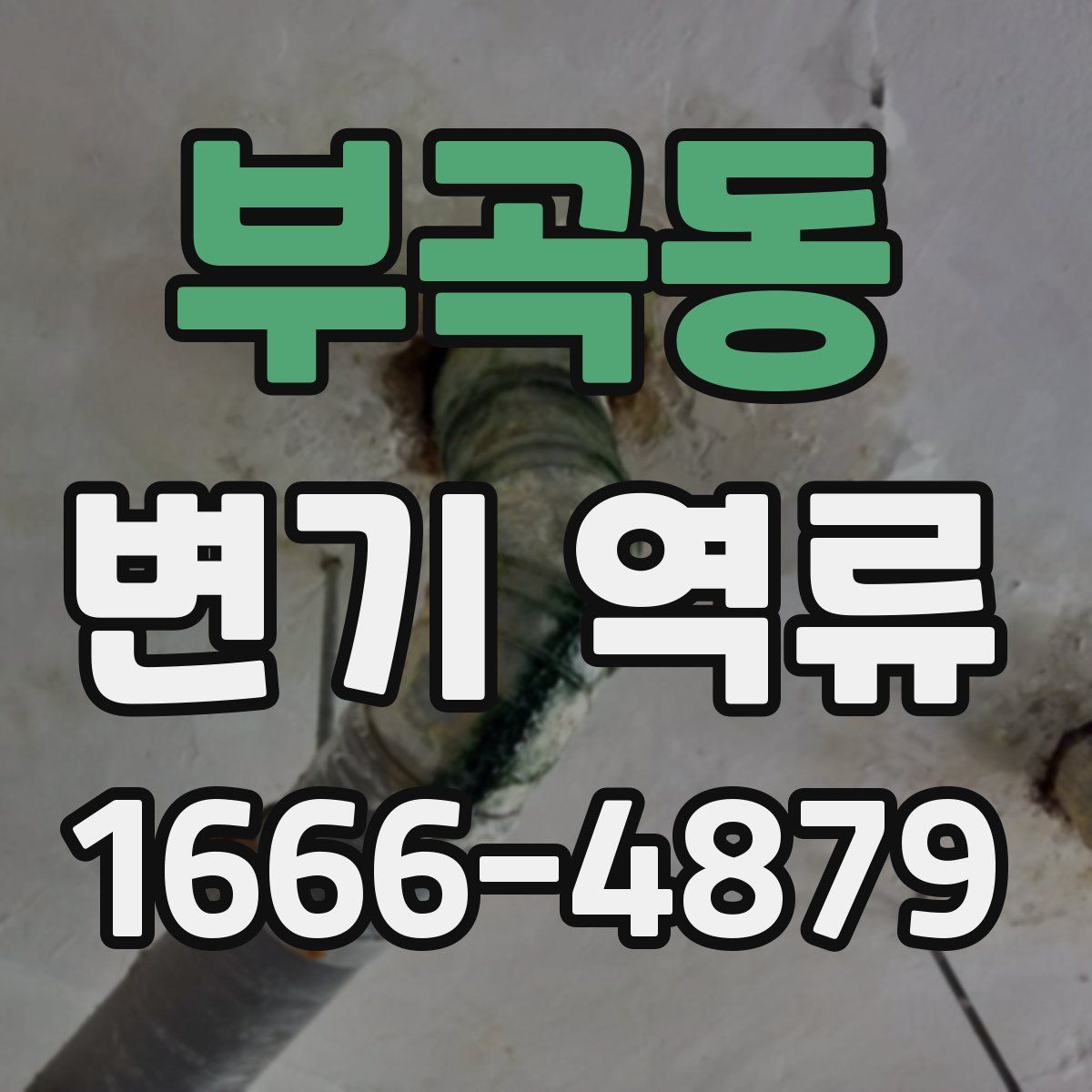부곡동 변기 역류