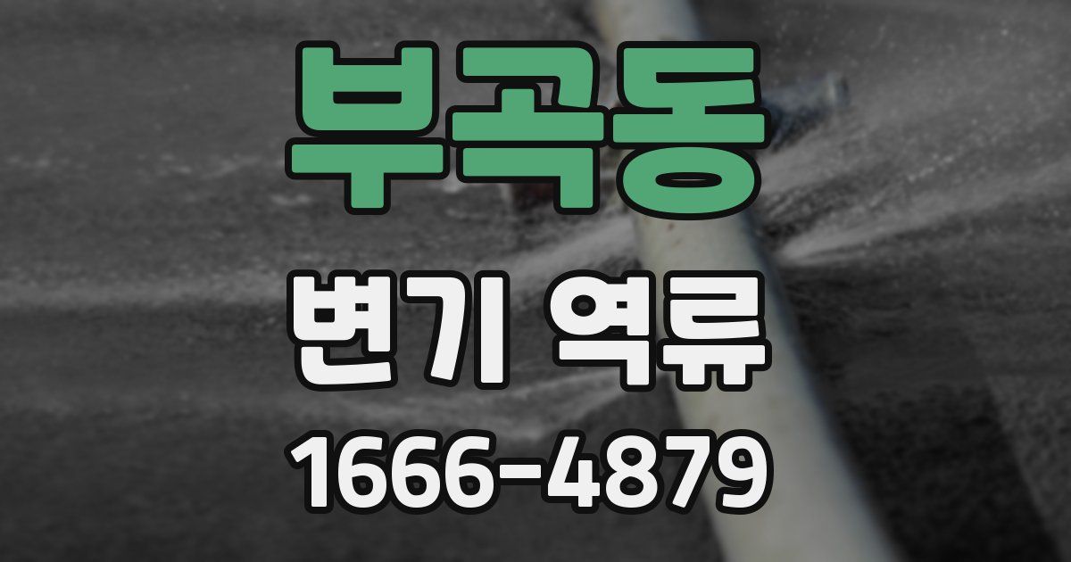 부곡동 변기 역류