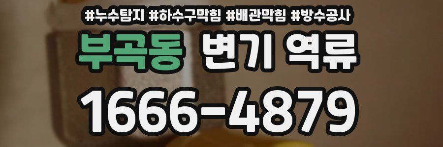 부곡동 변기 역류