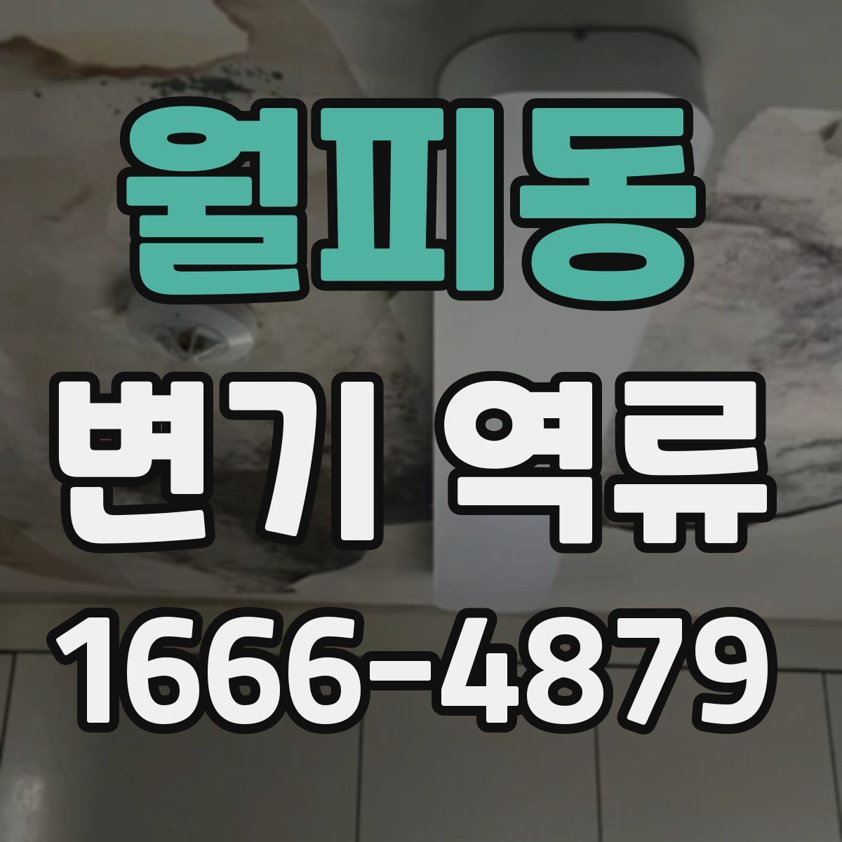월피동 변기 역류